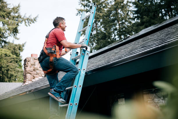 Best Roof Maintenance and Cleaning  in Sunman, IN